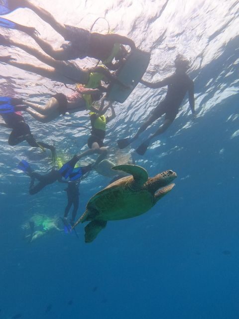 Oahu Snorkeling with Turtles, Water Scooter, Paddleboard - Who This Tour Fits Best (and Who Might Want Another Option)