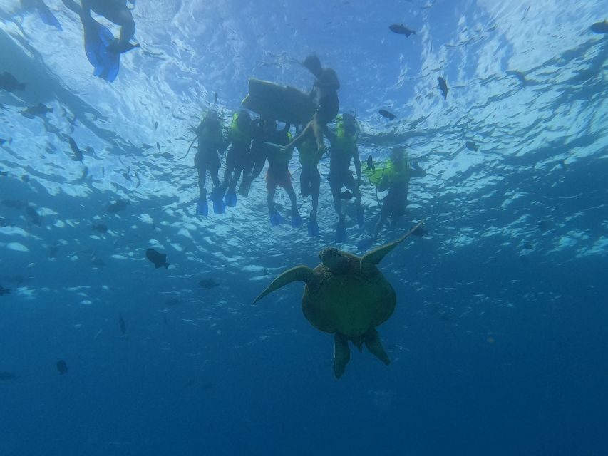 Oahu Snorkeling with Turtles, Water Scooter, Paddleboard - How Pickup and the Catamaran Cruise Work From Waikiki