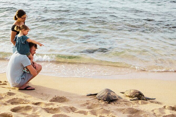 Oahu Ultimate Circle Island: 30 Spots, 10 Epic Stops - The first wave of highlights: snorkeling caution, Diamond Head, and Halona’s water blast