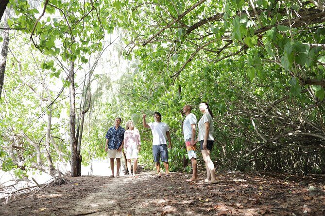 Oahu Uncovered: Full Island Tour with a Local Guide - A full-circle Oahu day that helps you plan the rest of your trip