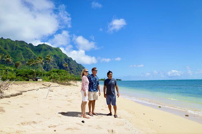 Oahu Uncovered: Full Island Tour with a Local Guide - Shark’s Cove and Ehukai Beach Park: turtles, lava rock, and real surf danger
