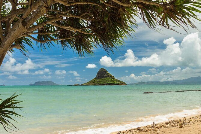 Oahu Unveiled: Tailored Luxury Private Island Tour - Private Oahu Circle: Why This Format Works
