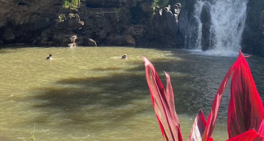 Oahu: Valley of Waimea Falls Swim & Hike with Lunch & Dole - Waimea Falls swimming: the cool-down, safety gear, and footing
