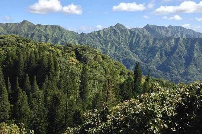 Oahu Volcanic Rainforest Hiking Adventure - Waterfalls, Streams, and the Reality Check on Water Power