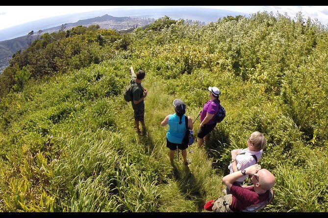 Oahu Volcanic Rainforest Hiking Adventure - Pickup, Start Time, and the Easy Morning Flow
