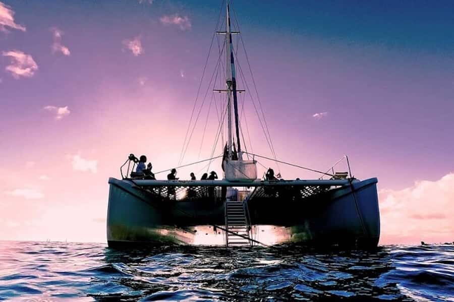 Oahu: Waikiki Sunset Catamaran Sail and Swim - Pink Sails Waikiki: Finding the Dock and Getting Seated Fast