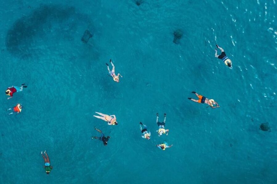 Oahu: Waikiki Turtle Snorkeling Adventure Cruise - Key Highlights at a Glance