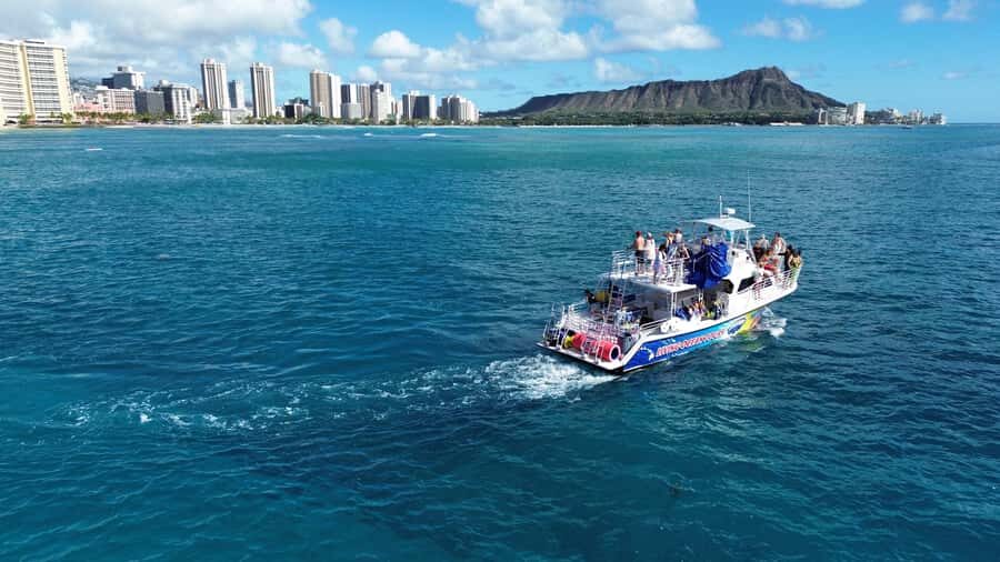 Oahu: Whale Watching Cruise Whales Guaranteed - Sunset, whales, and two big landmarks you can actually see