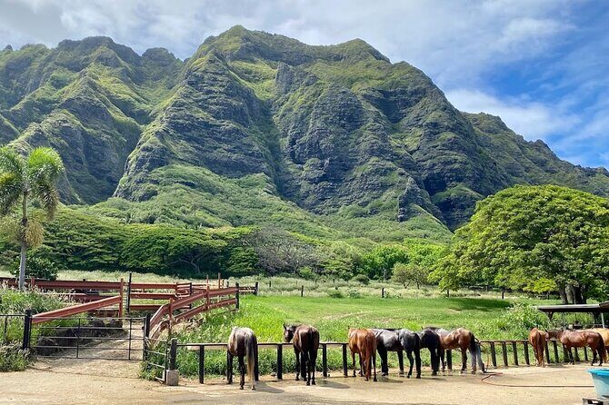 Oahu's Fun and Foodie Tour Groups of 5 or more Only! - Makapuʻu viewpoint: the east side of Oahu and why it’s worth the road time