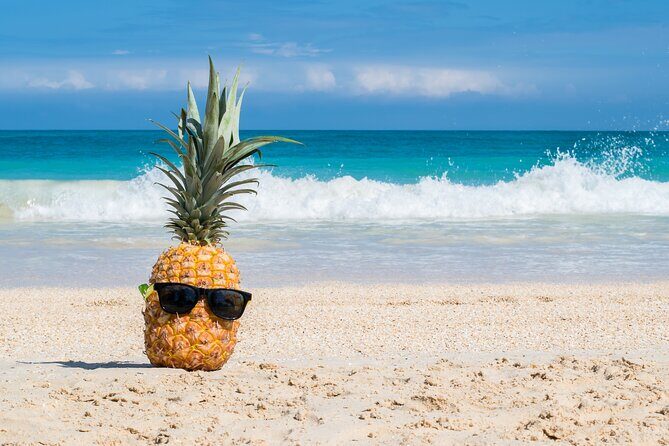 Oahu's Ultimate Grand Circle Island Tour with Snorkeling and More - Halona Blowhole and the eastern coast vibe (God’s Country viewing)