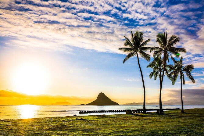 Oahu's Ultimate Grand Circle Island Tour with Snorkeling and More - Kahuku Farms and the North Shore “turtle beach” world