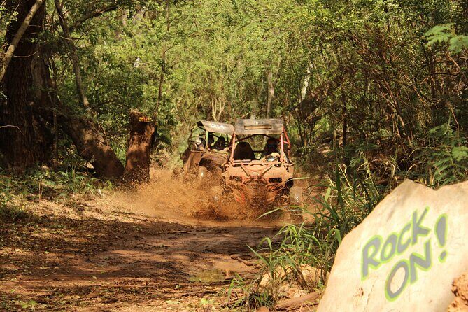 Off-Road ATV Adventure with Roundtrip Shuttle from Waikiki - The One-Hour Park Break: Games, Animals, and the Aerial Challenge Course