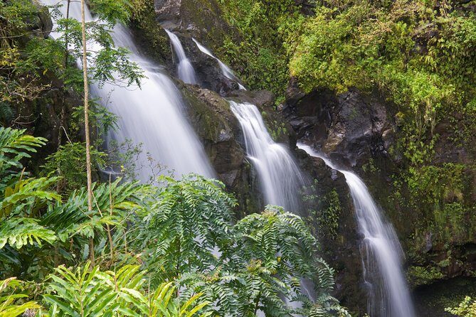 One Day Heavenly Hana Tour: Island Hopping from Oahu to Maui - Keanae Lookout: taro fields, black lava coast, and local treats