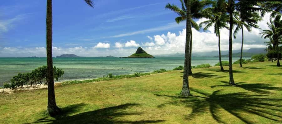 Pearl Harbor and Scenic Oahu Private Tour - North Shore Day: Dole Plantation, Haleiwa, and Beach Views