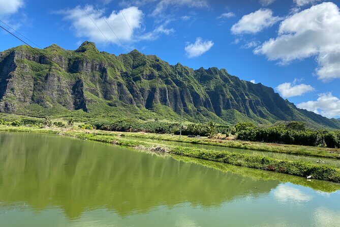 Private Circle Island Off-the-Beaten- Oahu Tour - A Private North Shore Day That Feels Like Oahu, Not a Checklist