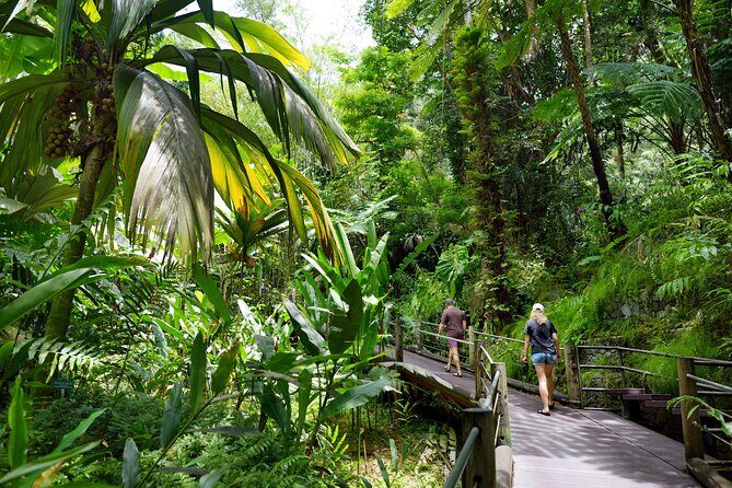 Private Circle Island Off-the-Beaten- Oahu Tour - Group Discounts, Private-Group Feel, and Who This Tour Fits Best