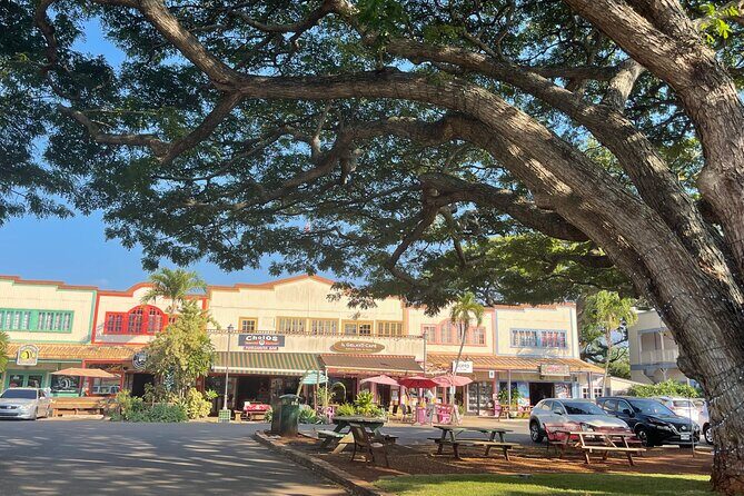 Private Circle Island Tour North Shore and East Side - Stop 5: Banzai Pipeline area, Waimea Bay, and Sunset Beach