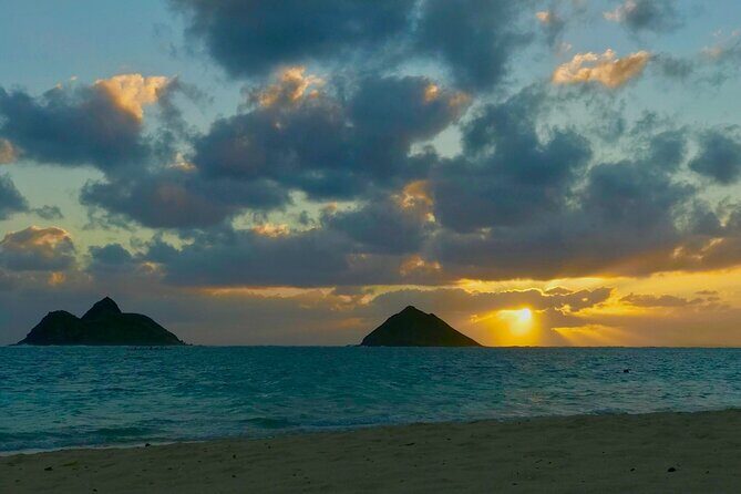Private Customizable Grand Circle Island Tour of Oahu - Farm breaks that actually feel useful: macadamia, coffee, and pineapple