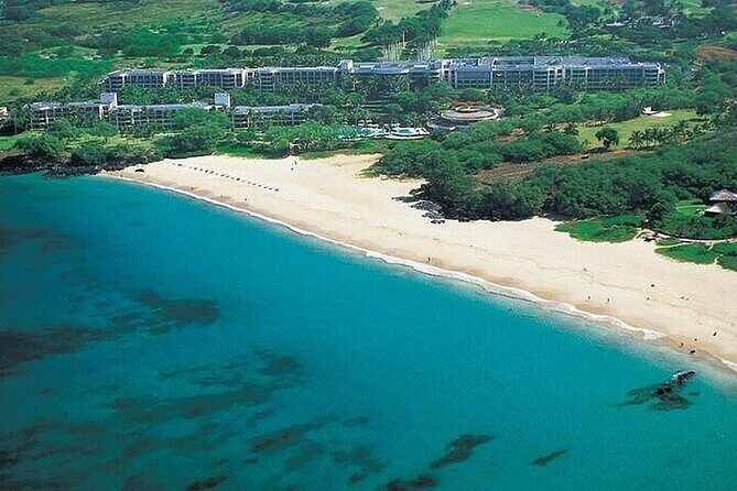 Private Customizable Oahu Grand Circle Island Tour from Waikiki - North Shore surf culture: what you’ll see and when it’s best