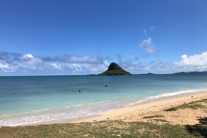 Private Full-Day Circle Island Guided Small-Group up to 6 (Se habla Español) - North Shore lunch, Haleiwa sea-turtle odds, and the winter surf circuit