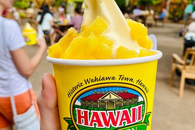 Private Half-Day Circle Island Highlights Tour in Oahu - Key points at a glance