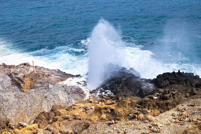 Private Half-Day Circle Island Highlights Tour in Oahu - Stop 3: Nu‘uanu Pali with a guided viewpoint walk-through