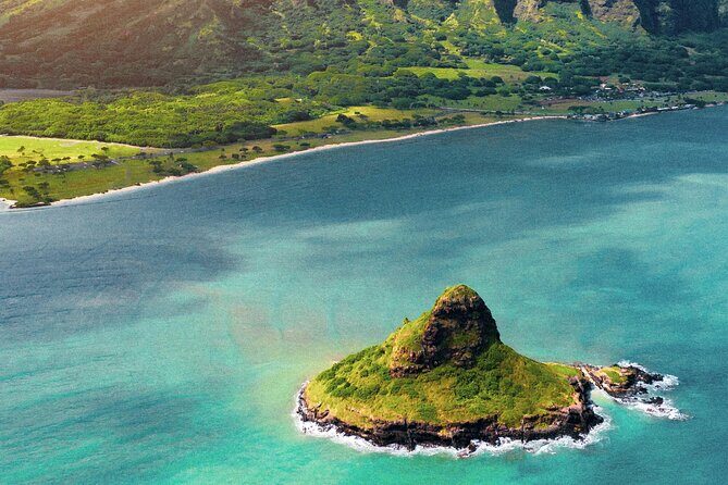 Private Half-Day Circle Island Highlights Tour in Oahu - Stop 5: Dole Plantation for snacks, Dole Whip, and souvenirs