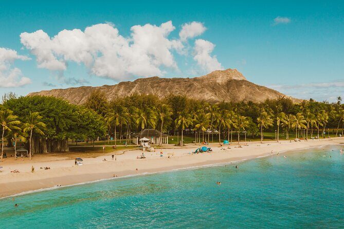 Private Half-Day Circle Island Highlights Tour in Oahu - Who this private highlights tour is best for
