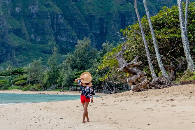 Private North Shore of Oahu Tour - Price and Value at $178.88: When Private Makes Sense
