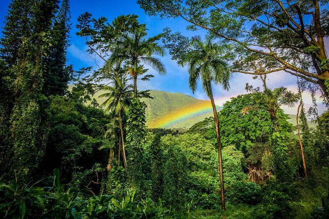 Private Oahu Van Tour - Your guide experience: why “Jason” and “Jeffrey” keep coming up
