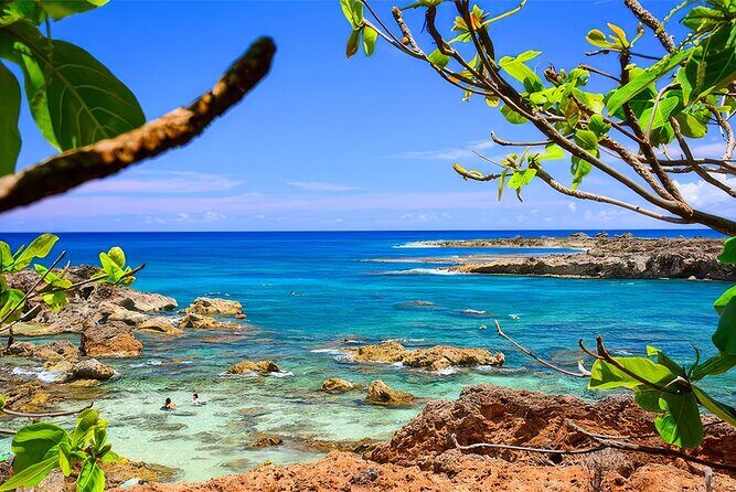 PRIVATE Premium Circle Island Tour (12 Stops) - Halona Blowhole and Makapu‘u Point: nature spectacle with great viewpoints