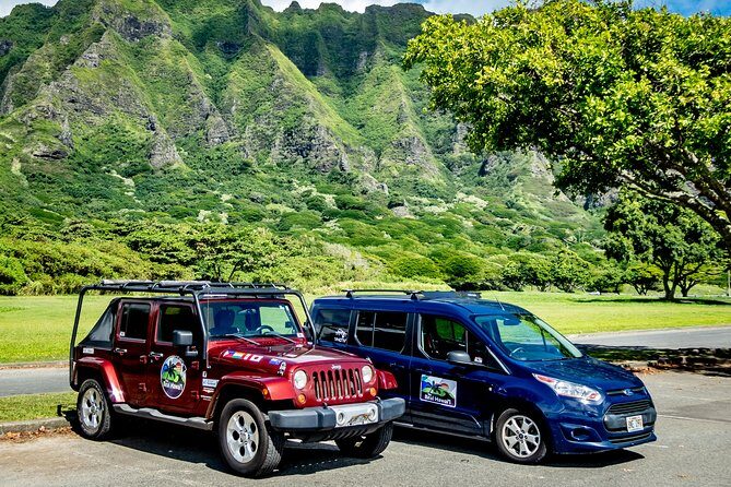 Private South Shore of Oahu Tour - Makapu’u Point: the kind of overlook that earns its photos