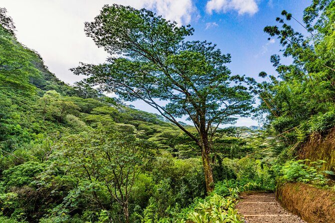 PRIVATE TOUR-Hike Diamond Head & Hawaiian Waterfall - Why Diamond Head and Manoa Falls fit together so well