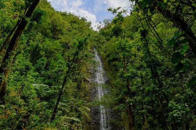 PRIVATE TOUR-Hike Diamond Head & Hawaiian Waterfall - Austin’s guiding style: more than facts, more like context