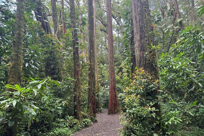 PRIVATE TOUR-Hike Diamond Head & Hawaiian Waterfall - Getting the most out of the timing and pacing