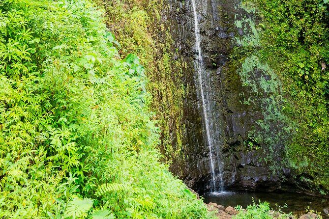 PRIVATE TOUR-Hike Diamond Head & Hawaiian Waterfall - Price and value: what you’re really paying for at $107