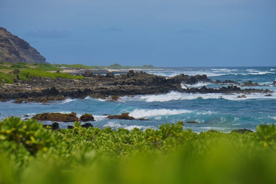Private Tour Oahu-Circle Island-Customizable - Key points to know before you go