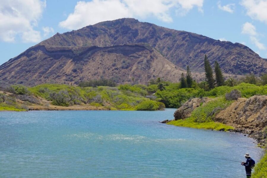 Private Tour Oahu-Circle Island-Customizable - Who this tour suits best (and who should skip it)