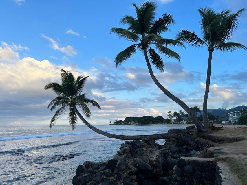 Private Tour Oahu-Circle Island-Customizable - Halona Blowhole, Sandy Beach, and Makapuʻu: wind and wave stops you plan around