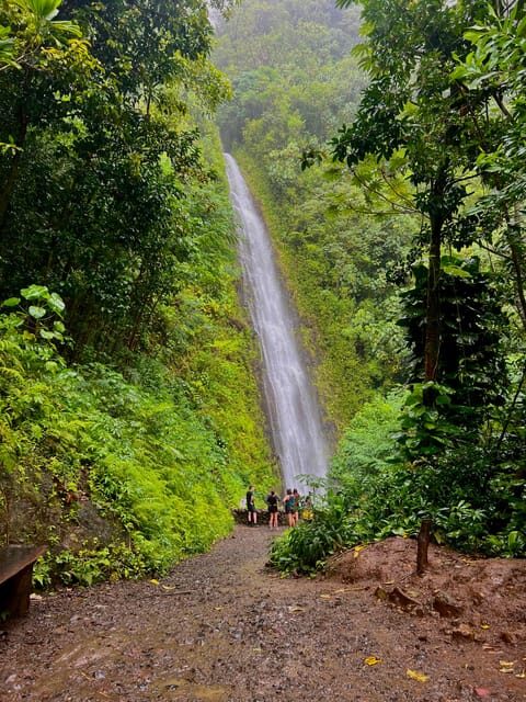 Private Tour Oahu-Circle Island-Customizable - Price and value: is $215 per person worth it?