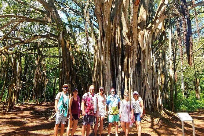 Private Tour Oahu Circle Island - Fully Personalized Experience - Who this tour fits best (and who might want to rethink)