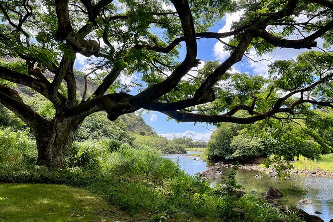 Private Tour Oahu including Waimea Waterfall-Customizable - Getting rolling in Waikiki: Kalākaua Avenue and Kapi‘olani Park