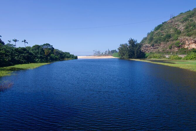 Private Tour Oahu including Waimea Waterfall-Customizable - North Shore food pause: food trucks plus a better lunch option