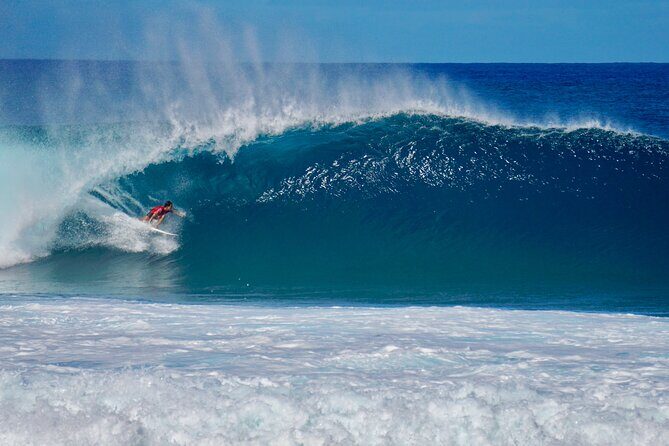 Private Tour Oahu including Waimea Waterfall-Customizable - The drive parts: monk seals, coastal viewpoints, and island stories