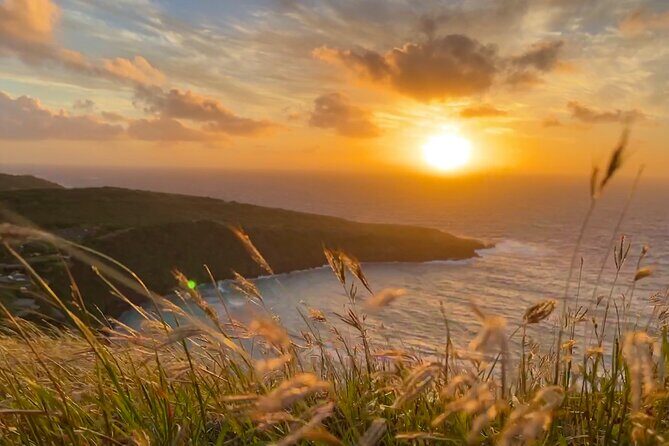 Private Tour Oahu - up to 6 passengers - Customizable - Hanauma Bay Nature Preserve: the iconic crater bay stop