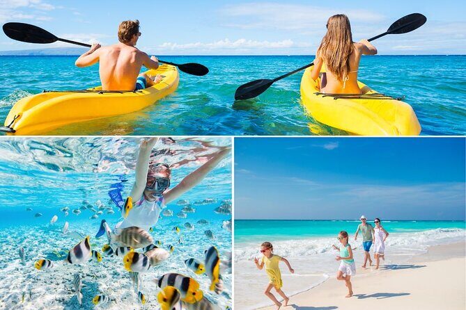 PRIVATE TOUR-Ultimate North Shore Experience - Turtle Bay Snorkeling: Gear Included When Conditions Allow