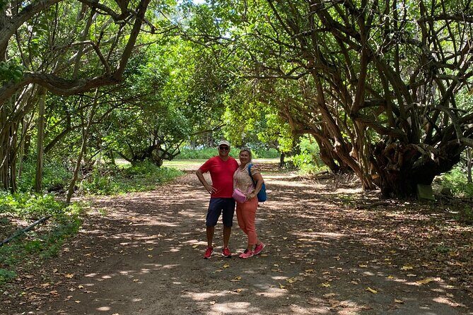 PRIVATE TOUR-Ultimate North Shore Experience - Dole Plantation Finish: Dole Whip and Pineapple Souvenirs