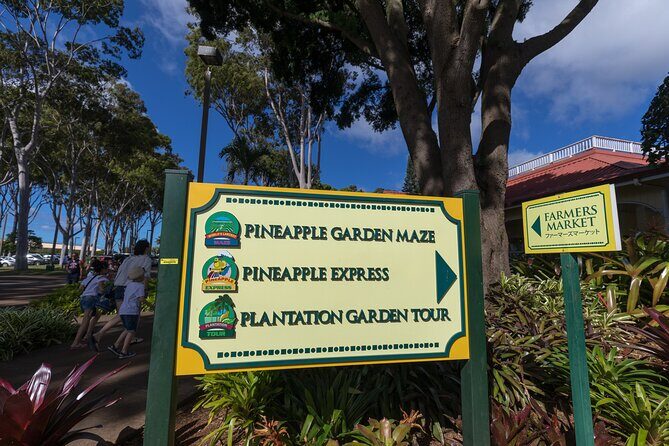 Real Hawaii Circle Island Tour - Diamond Head Lookout and the Hanauma Bay Viewpoint Start Strong
