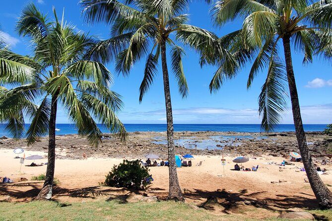 Round Trip North Shore Shuttle from Waikiki to Haleiwa Town / Haleiwa Harbor - The driver experience: why it feels like more than a bus ride