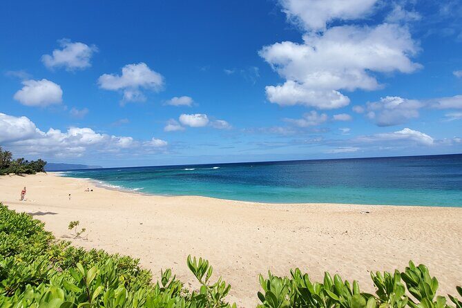 Round Trip North Shore Shuttle from Waikiki to Haleiwa Town / Haleiwa Harbor - Value for money: when a shuttle is smarter than DIY